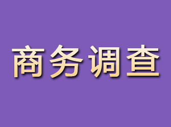 吉木乃商务调查